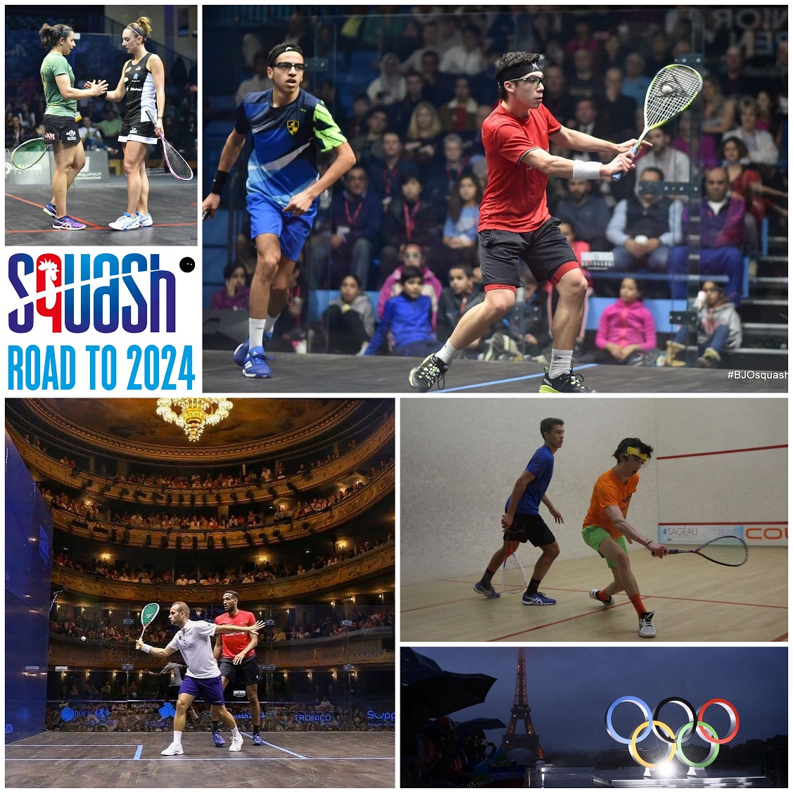 ROAD TO 2024: WHEN FRENCH SQUASH DREAM OF THE OLYMPICS ...